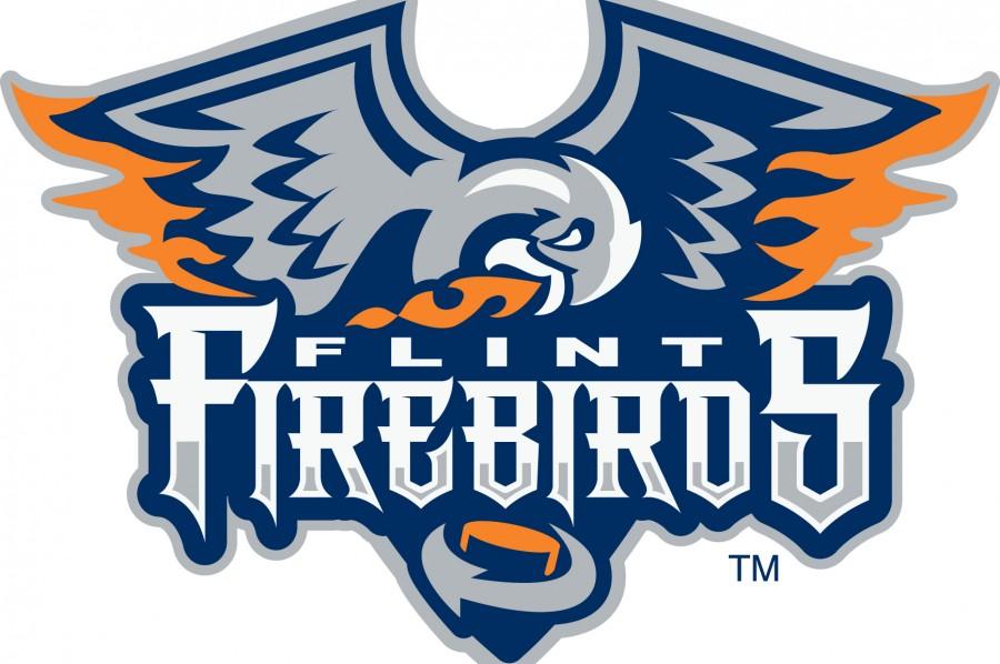 Fire clashes with ice: Flints new OHL team is the Firebirds