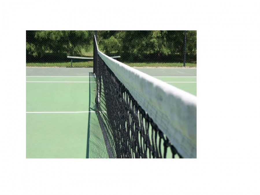 Tennis takes fourth at Lapeer quad