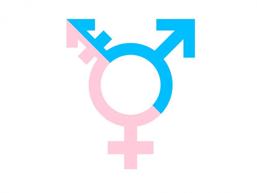 Transgender+visibility+helps+grow+acceptance