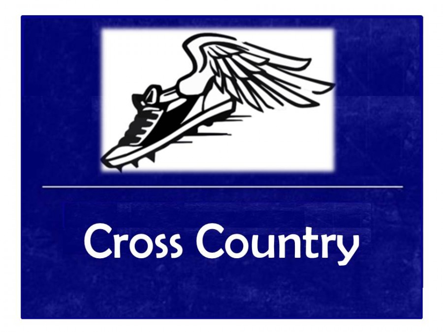 Two harriers medal at Chesaning Invite