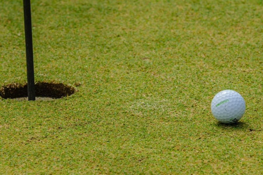 Golf team picks up fifth win by defeating Clio