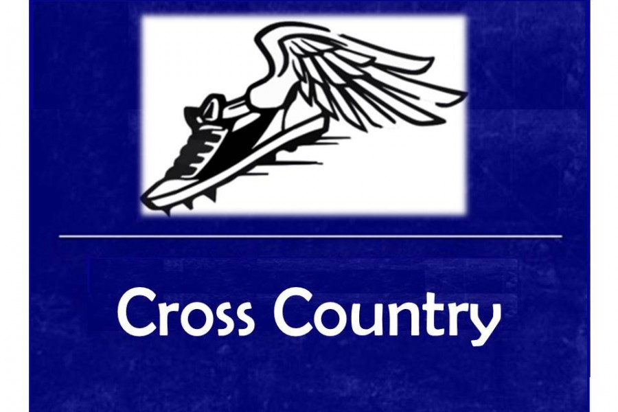 Teams take sixth at Greater Flint Cross Country Championship