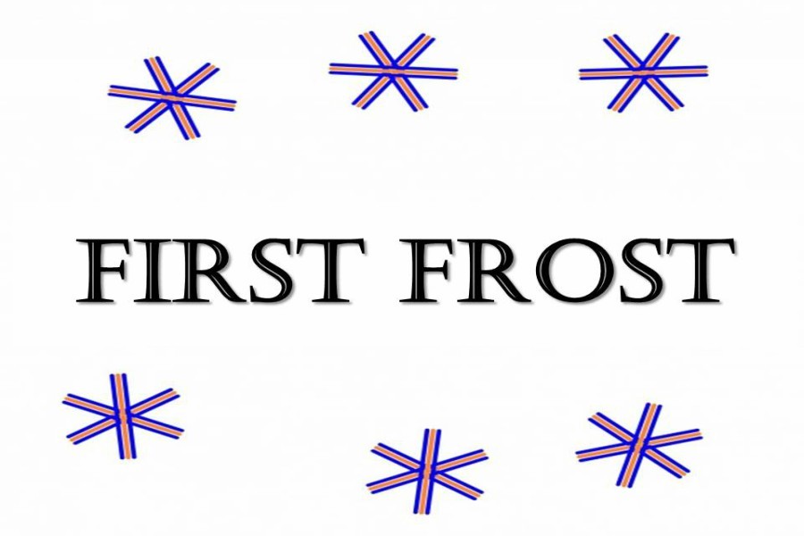 The First Frost and Fine Crafts Fair takes place at the Flint Institute of Arts on Nov. 7 and 8. 