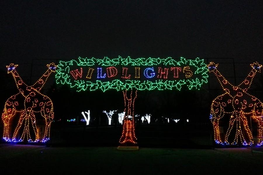 The entrance to the Detroit Zoo Wild Lights welcomes visitors in a festive manner.