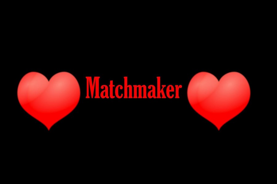 Matchmaker helps raise money for field trip