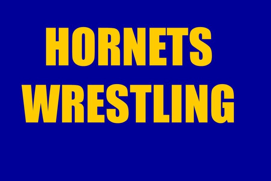 Wrestling+claims+two+individual+district+titles%2C+advances+10+to+regional