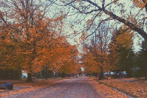 The fall months in Michigan are beautiful.