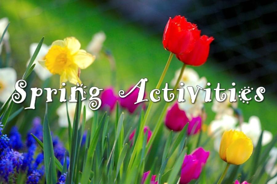 There are many activities to try during spring. 