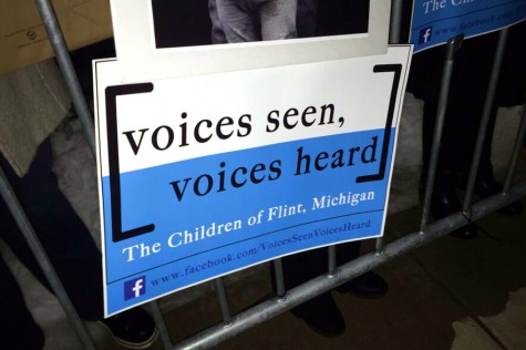 Voices Seen, Voices Heard : The Children of Flint, Michigan