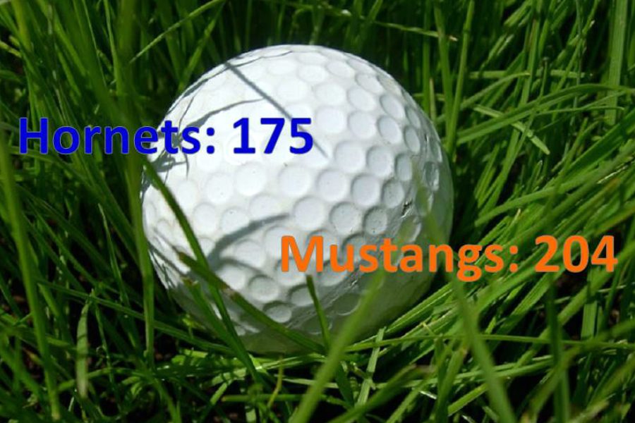 Golf stings the Mustangs