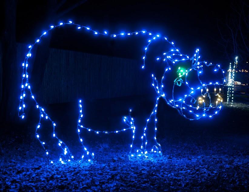The Wild Lights hippo looked brilliant from the 2015 show at the Detroit Zoo.