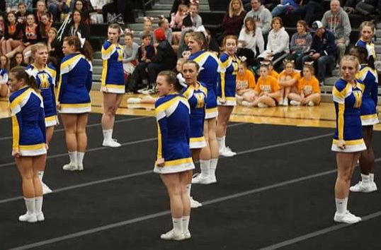 The cheer team performs in the third round of the Fenton Tiger Invitational, Friday, Feb. 10.