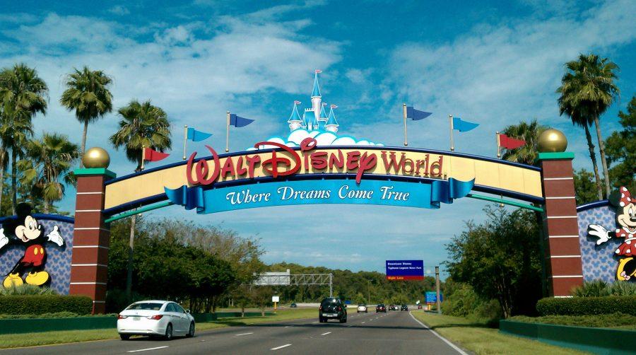 Disney World is a great family vacation spot. It is sure to provide pleasure for the entire family.