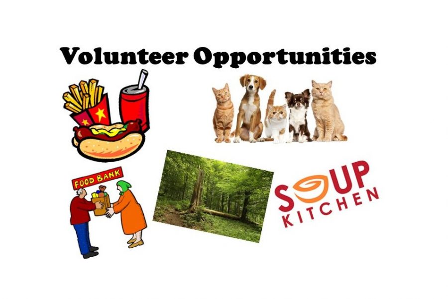 Teens+have+opportunities+to+volunteer+in+the+community