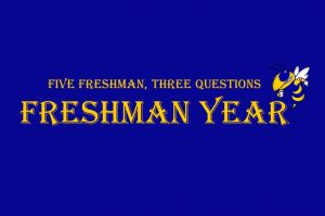 Five freshmen share their high school experience
