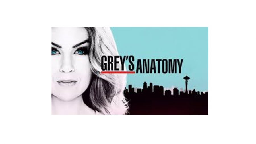 Greys Anatomy kicks off season 14 with plenty of drama, romance