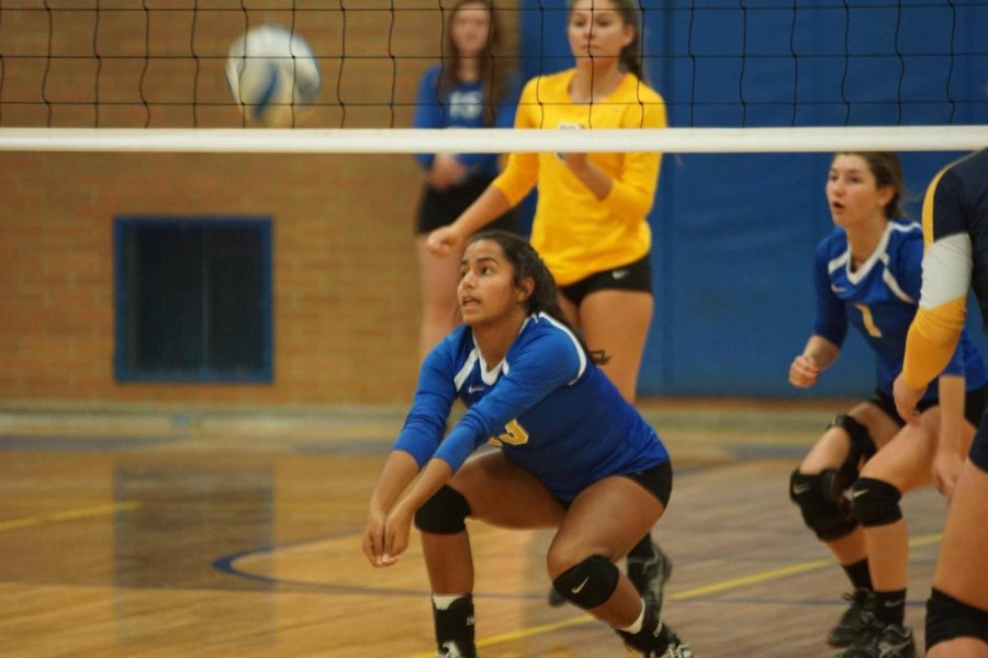 Junior Mickeely Dias sets up for a bump against Owosso on Tuesday, Oct. 17.