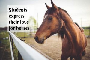 Taylor, Williams, McNew share their love for horses