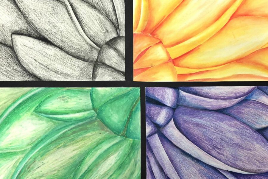Senior Hayley Roush created an image of a flower for her theme in studio art class. Each piece of the flower was made with a different medium of art. Mediums such as: oil pastels, colored pencils, and water color paint.