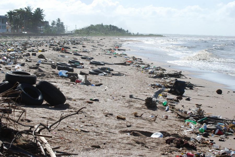Marine pollution litters the coast of Guyana in 2010.
