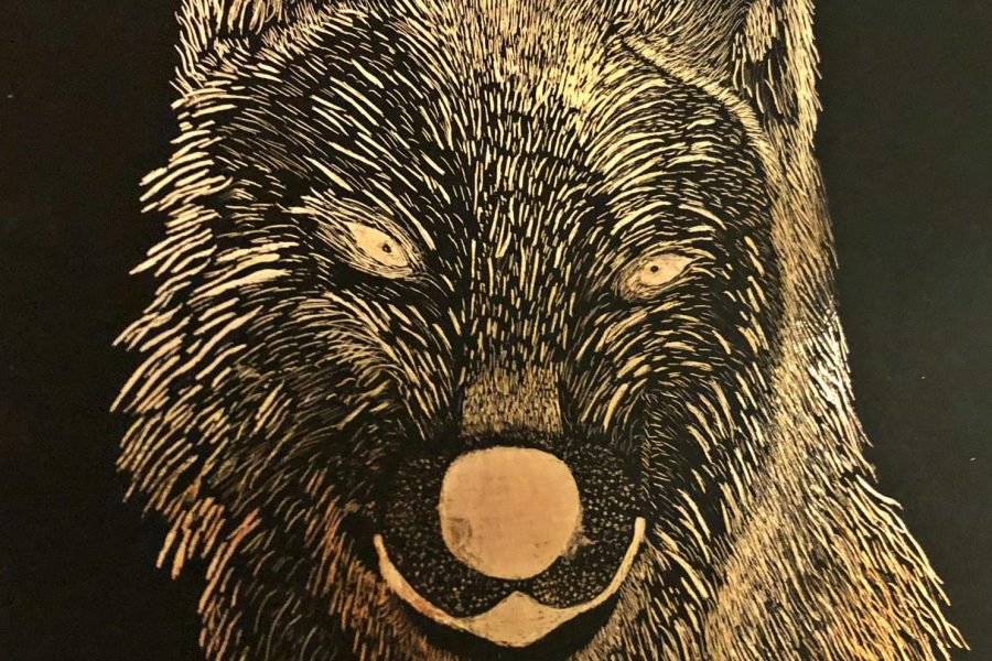 Another etching piece for Artwork of the Week done by Junior Saif Dawan. Dawan etched a portrait of a wolf in his Draw and Paint class. Though its not visible, the wolf has a very shiny gold sheen.