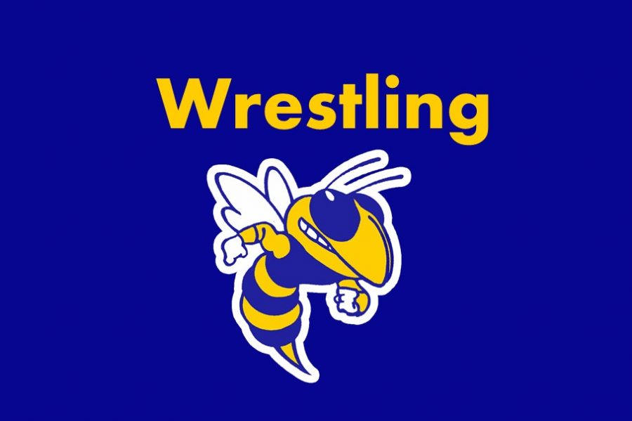 Kearsley will send two wrestlers to the individual state finals at Ford Field. 