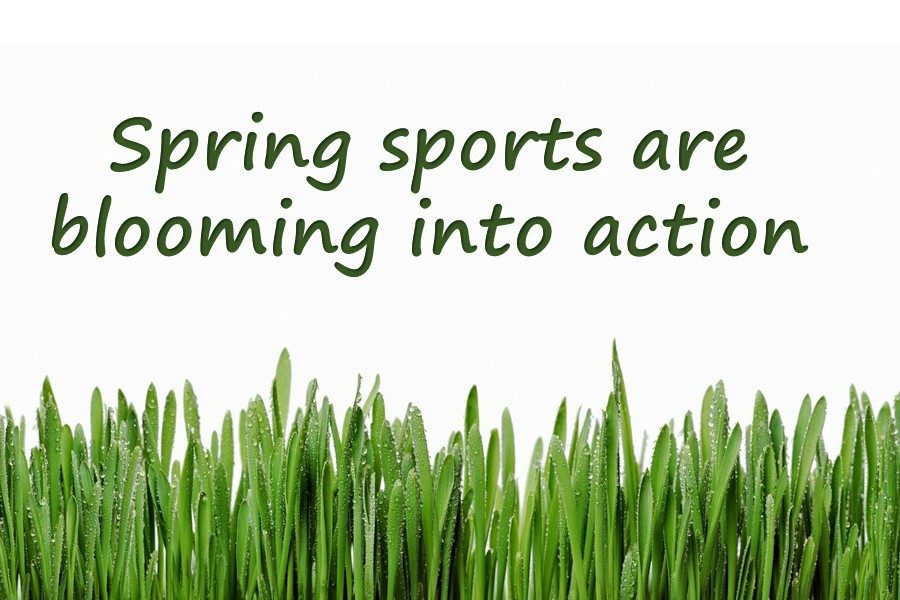 Spring+sports+bloom+into+action