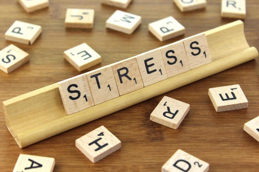 April is Stress Awareness Month. 