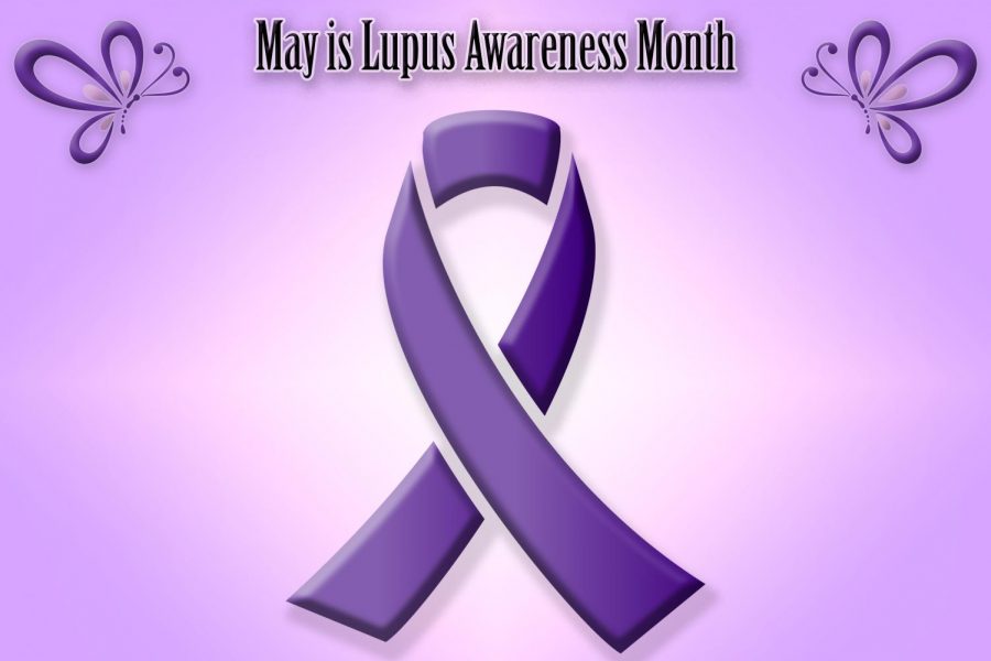 May+is+Lupus+Awareness+Month.+Lupus+is+represented+by+a+purple+ribbon.