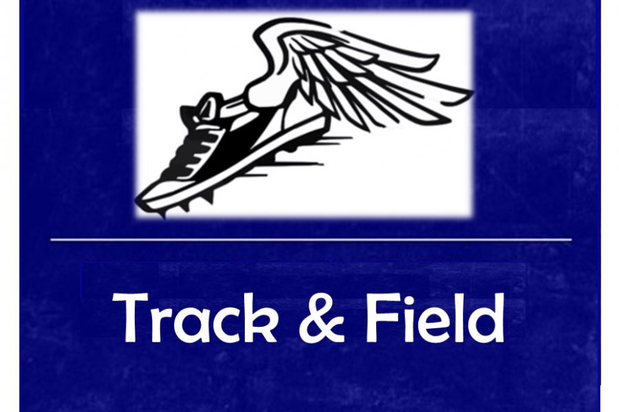 Girls track falls to Swartz Creek, Linden