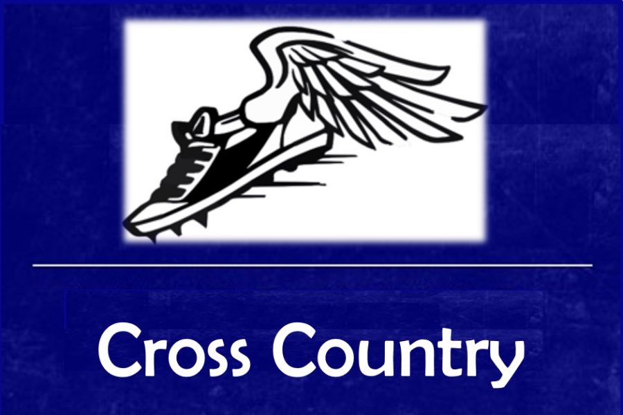 Braziel leads cross country, earns medal at Frankenmuth