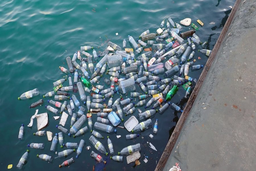 Plastic bottles and other trash collected in bodies of water shows the impact of garbage on the environment.