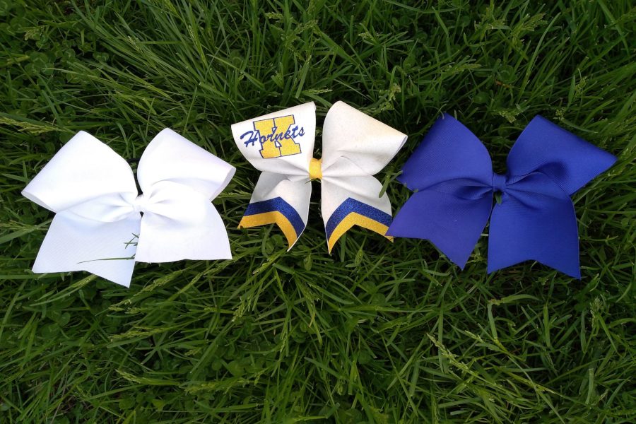 Cheer camp is a time for cheerleaders to grow and gain new skills for the season.