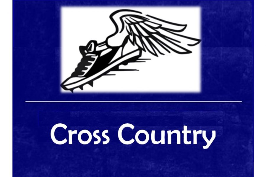 Cross country placed 11th in the second Metro League jamboree.