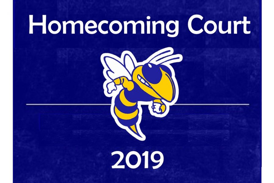 Twelve students will make up the 2019 homecoming court.