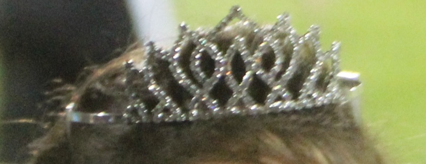 The crown given to homecoming queen.