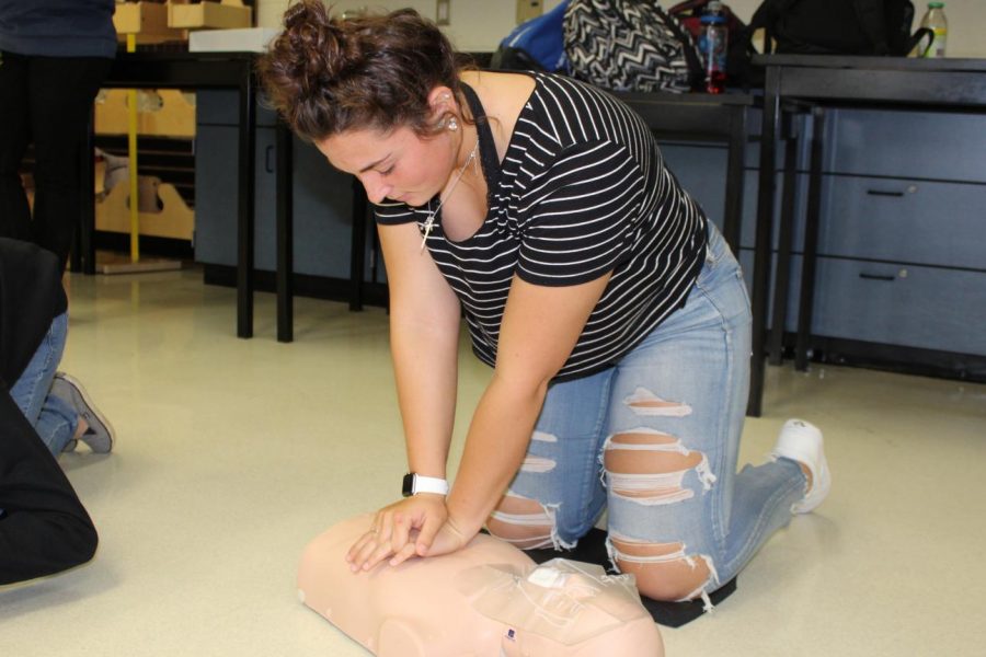 Senior+Claire+Ouellette+practices+CPR+on+an+adult+dummy+Wednesday%2C+Nov.+6.+