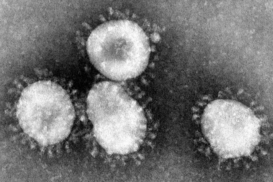 A new strain of coronavirus has infected many in China and five in the United States. The virus is nicknamed the Wuhan flu after its origin in Wuhan, China.