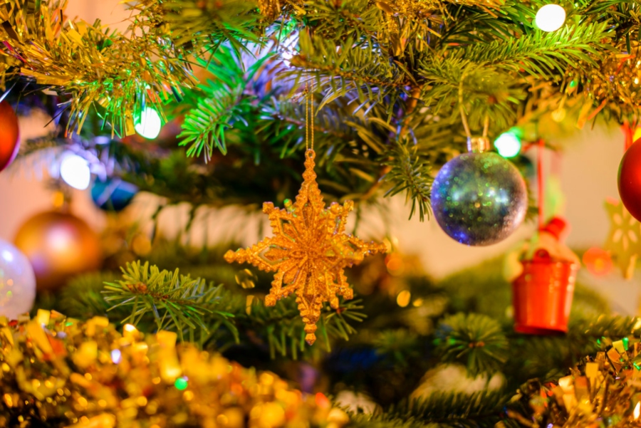 A closeup of Christmas tree with ornaments.
