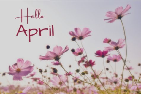 Hello April!